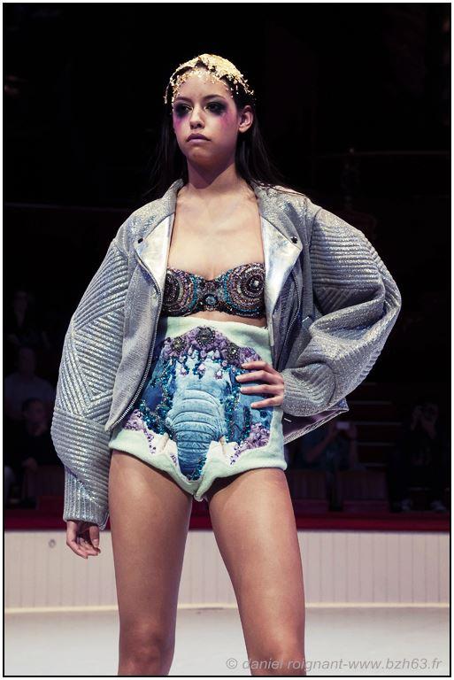 Collection Louis Berthier